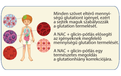 GlyNAC vs glutation